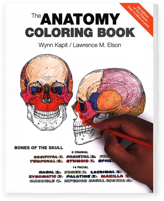 The Anatomy Coloring Book, 4th Edition, cover
